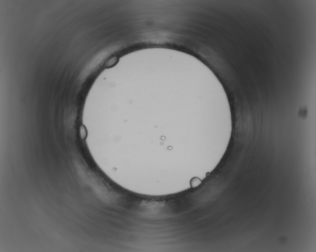 X0000115740440200912241650