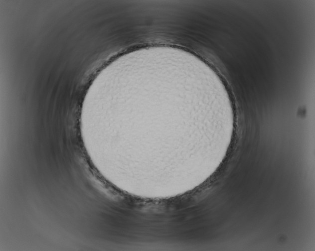 X0000115740441200912241650