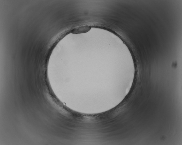 X0000115740442200912241650