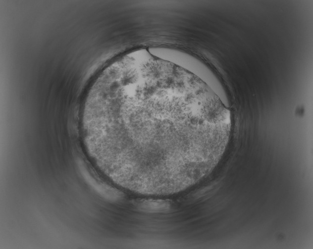 X0000115740443200912241650