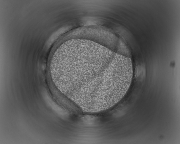 X0000115740444200912241650