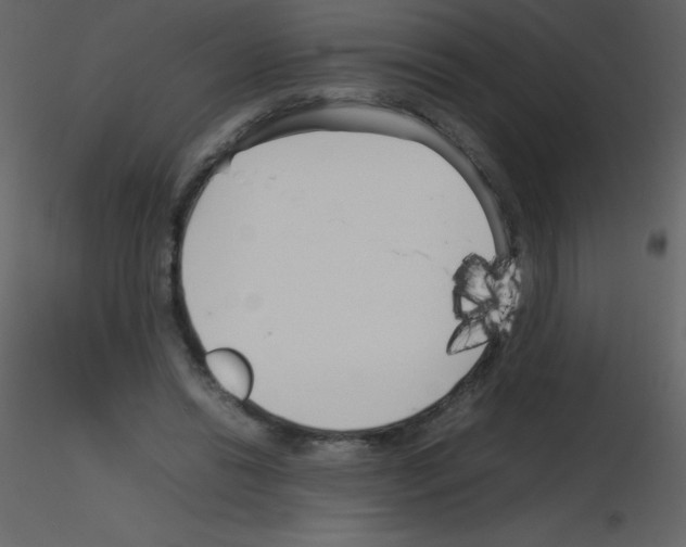 X0000115740446200912241650