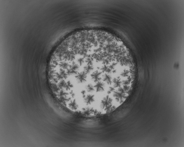 X0000115740447200912241650