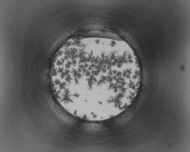 X0000115740449200912241650