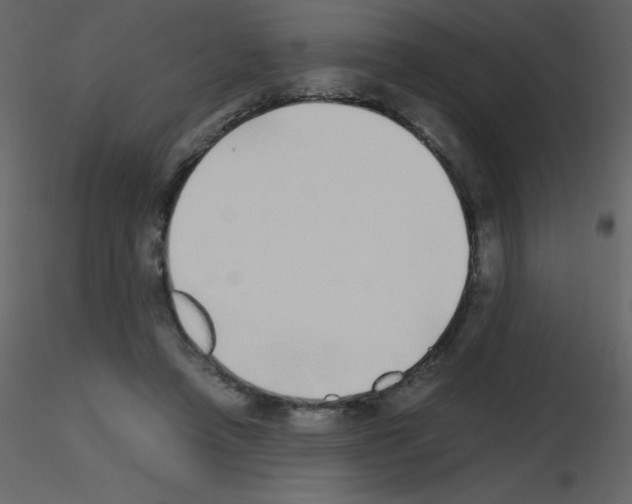 X0000115740450200912241650