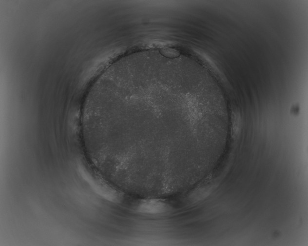 X0000115740451200912241650