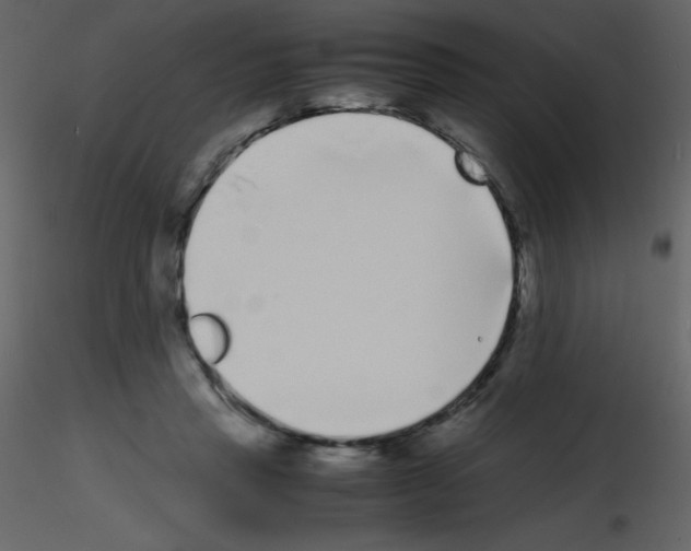 X0000115740453200912241650