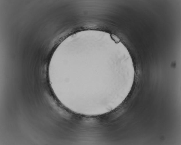 X0000115740454200912241650