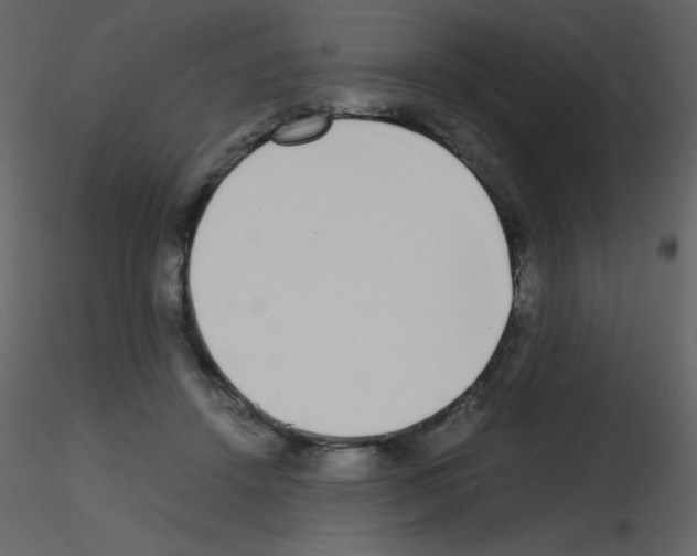 X0000115740456200912241651