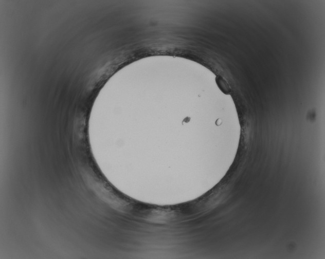 X0000115740458200912241651