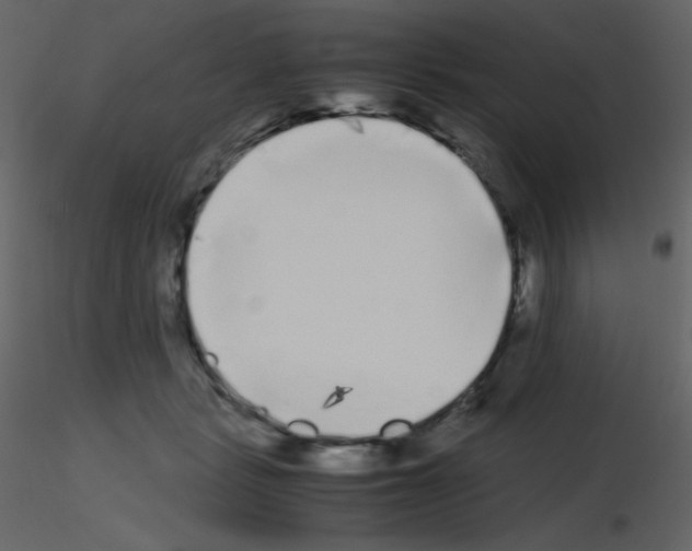 X0000115740461200912241651