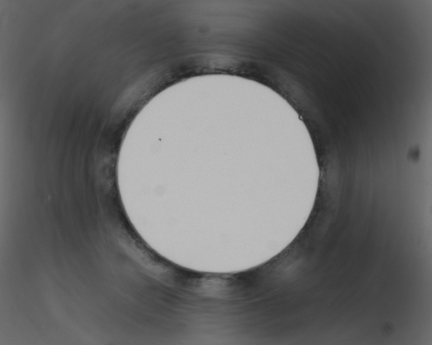 X0000115740462200912241651