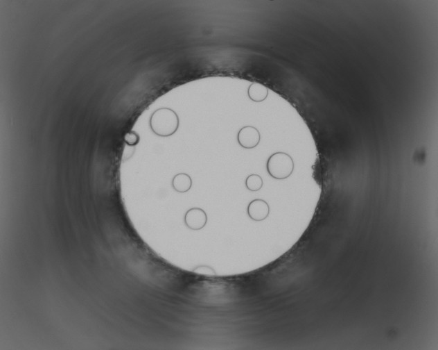 X0000115740464200912241651