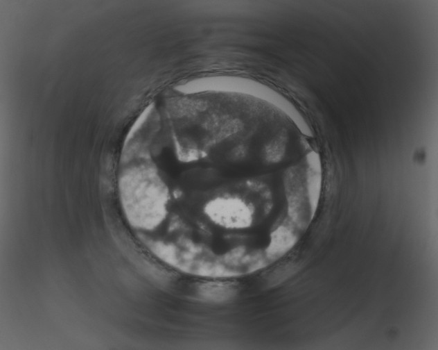 X0000115740465200912241651