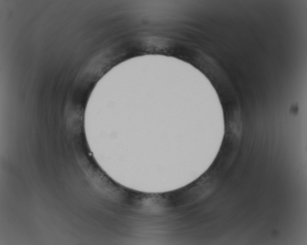 X0000115740468200912241651