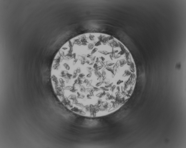 X0000115740469200912241651