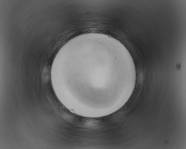 X0000115740471200912241651