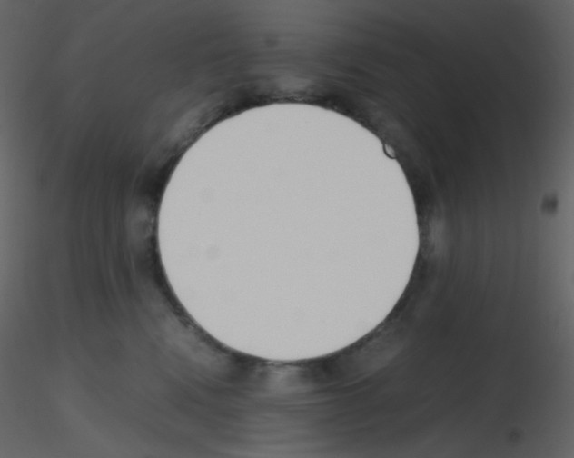 X0000115740472200912241651