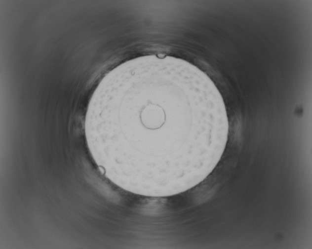 X0000115740474200912241651