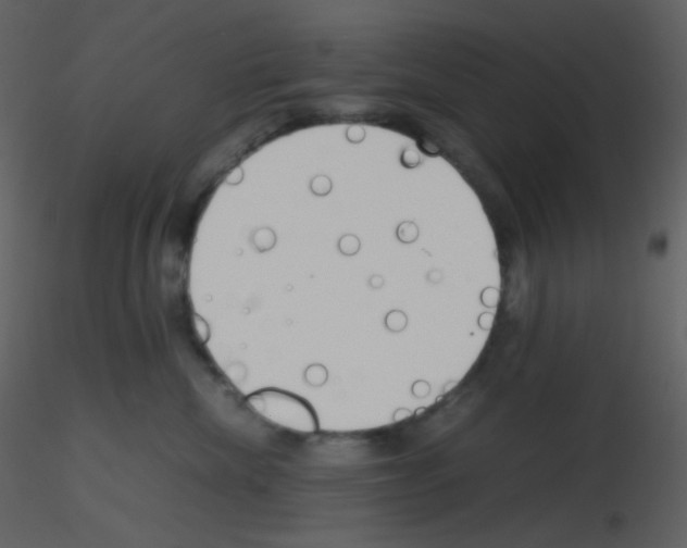 X0000115740476200912241651