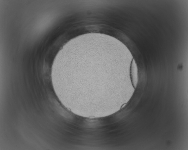 X0000115740477200912241651