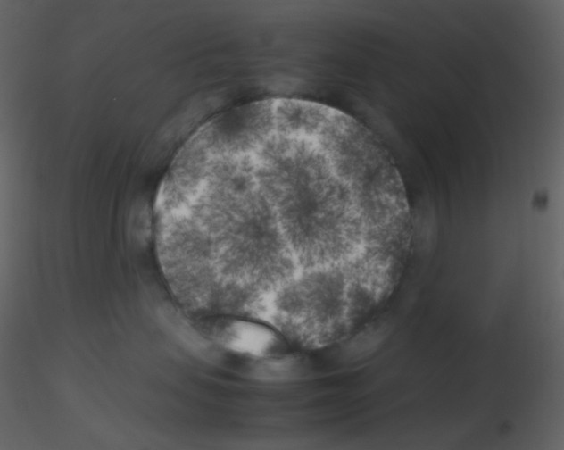 X0000115740479200912241651