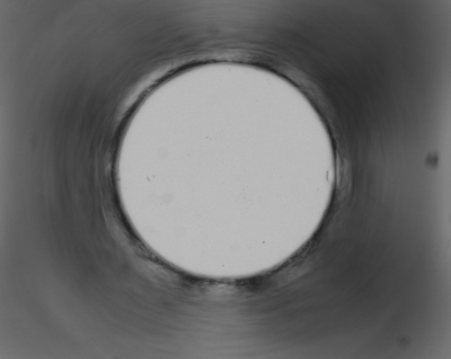 X0000115740483200912241650