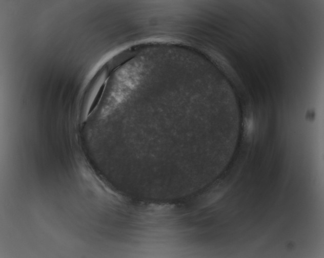 X0000115740484200912241650