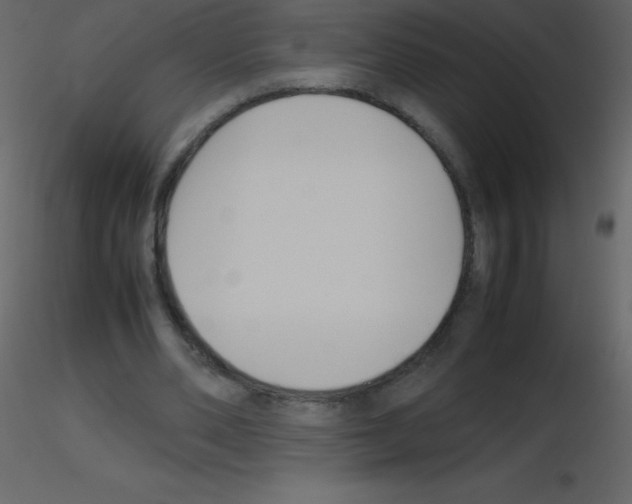 X0000115740486200912241650