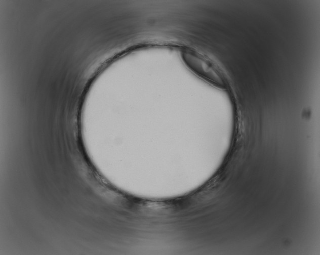 X0000115740487200912241650