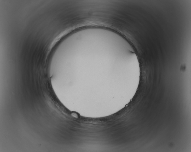 X0000115740488200912241650