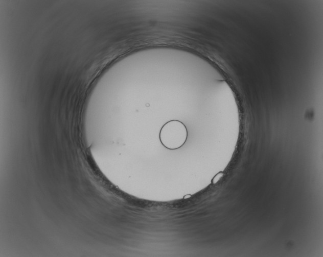 X0000115740489200912241650