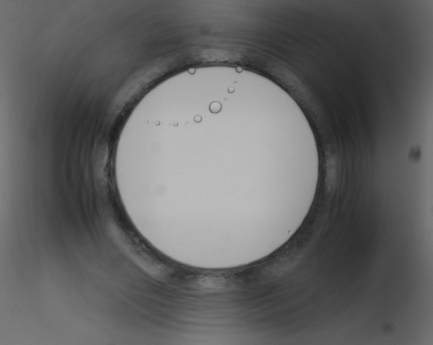 X0000115740490200912241650