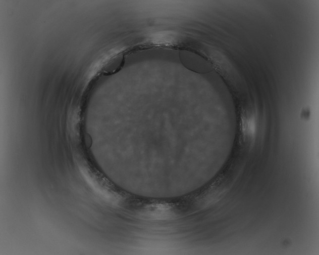 X0000115740492200912241650