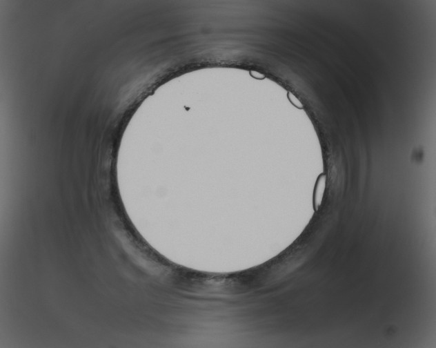 X0000115740493200912241650