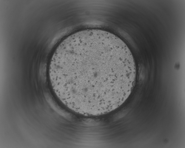 X0000115740494200912241650