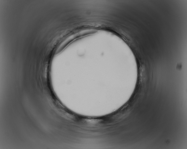 X0000115740495200912241650