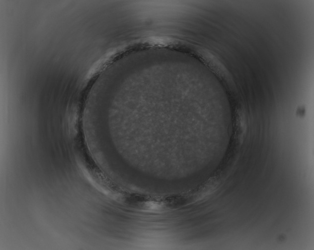 X0000115740496200912241650