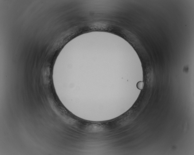 X0000115740498200912241650