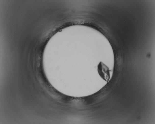 X0000115740499200912241650