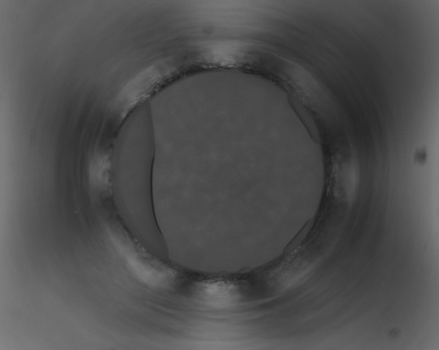 X0000115740500200912241650