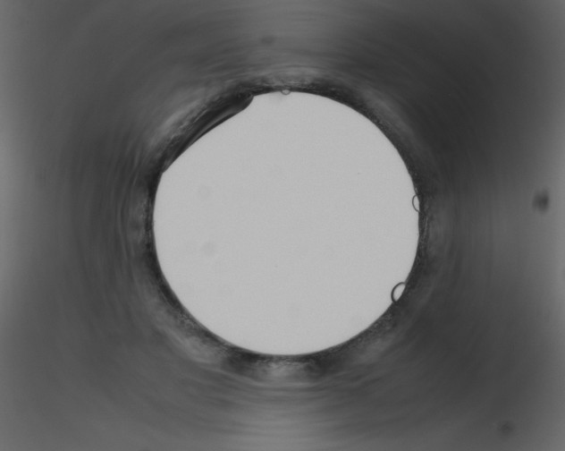 X0000115740501200912241650