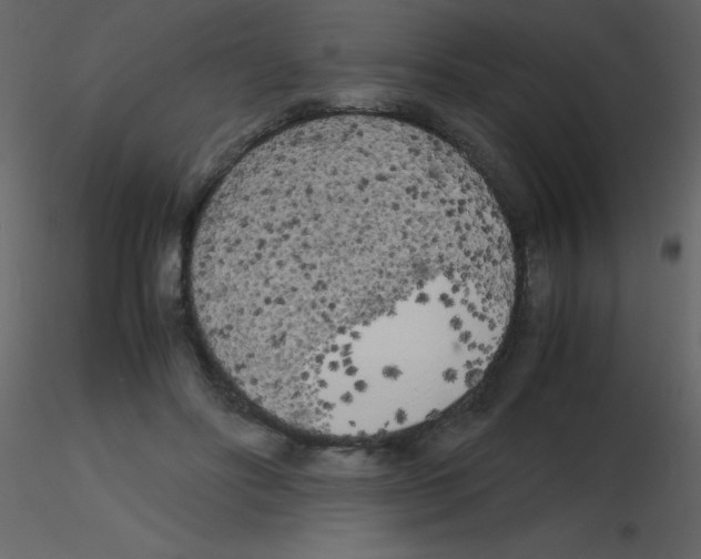 X0000115740502200912241650