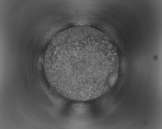 X0000115740503200912241650