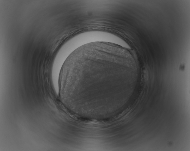 X0000115740504200912241650