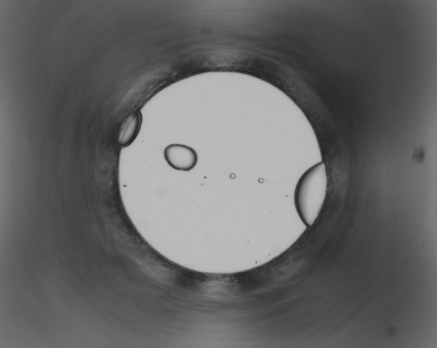 X0000115740505200912241650