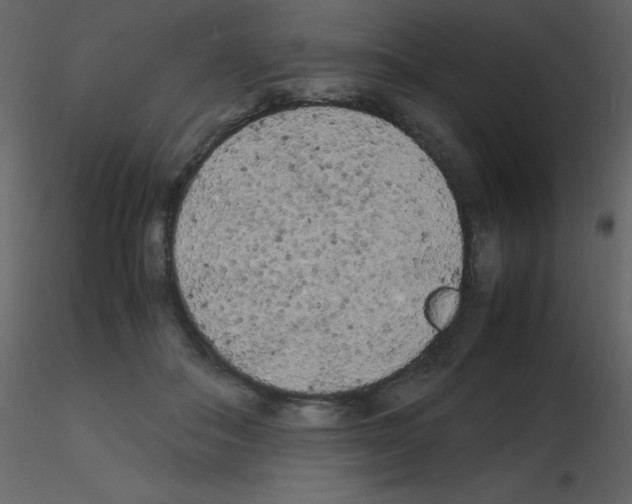 X0000115740506200912241650