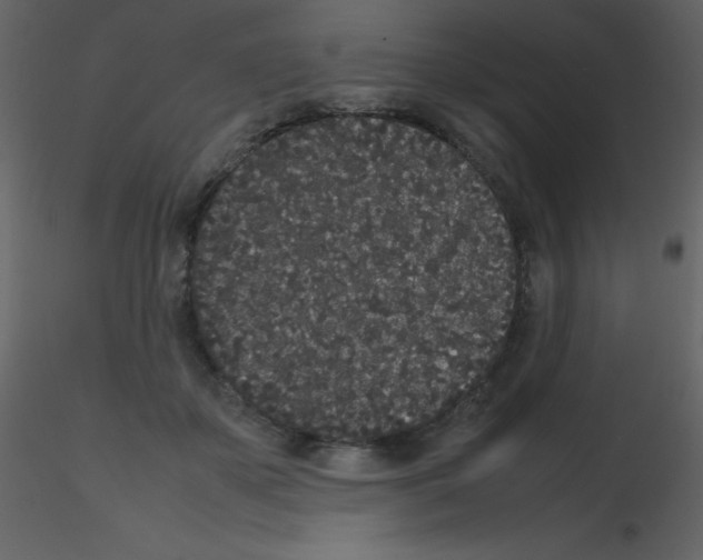 X0000115740507200912241650