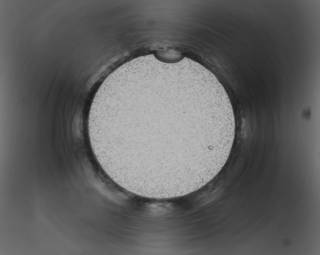 X0000115740508200912241650