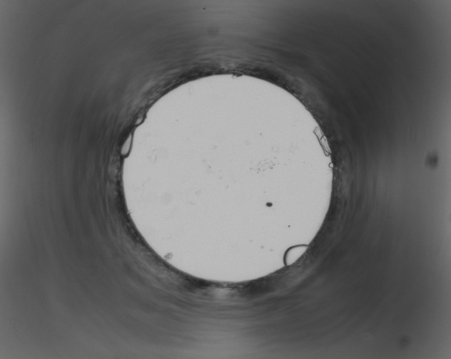 X0000115740509200912241650